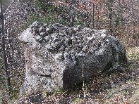nte Cagliato-20110220 033